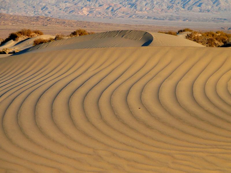 Ripples on Mesquite Flat Sand Dunes